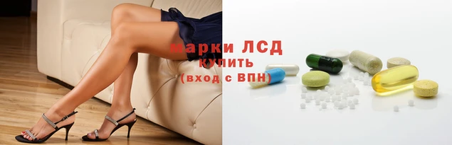 мяу мяу мука Новодвинск