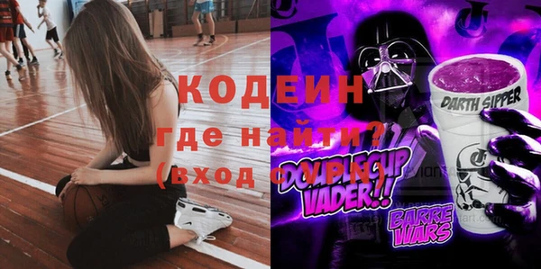 индика Абаза