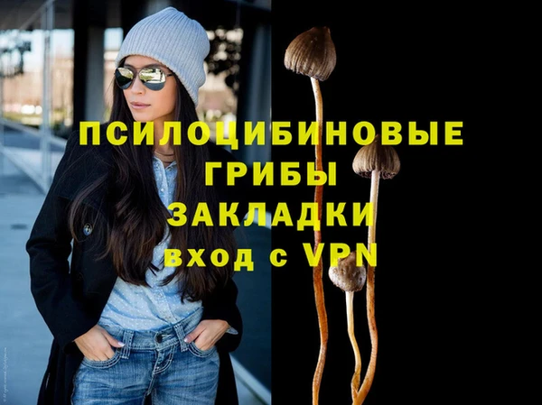 мяу мяу мука Новодвинск