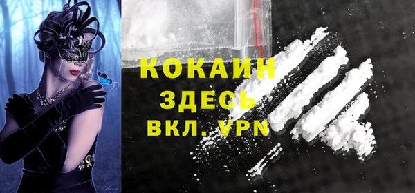 индика Абаза