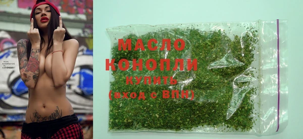 индика Абаза