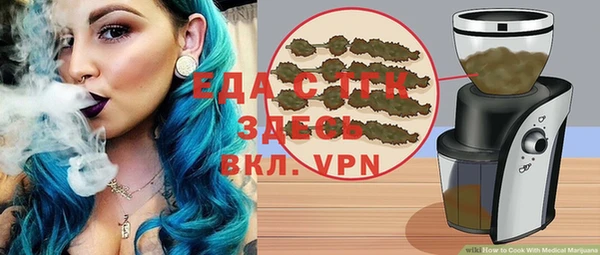 индика Абаза