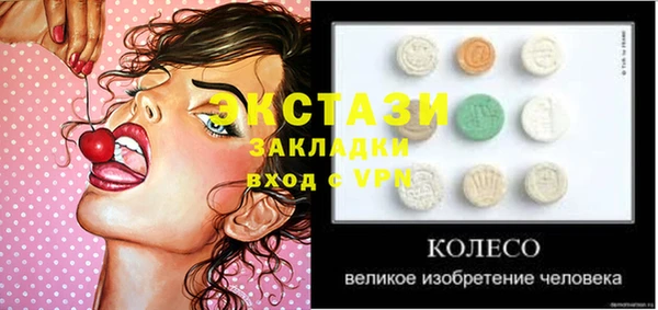 индика Абаза