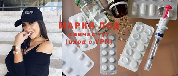 индика Абаза